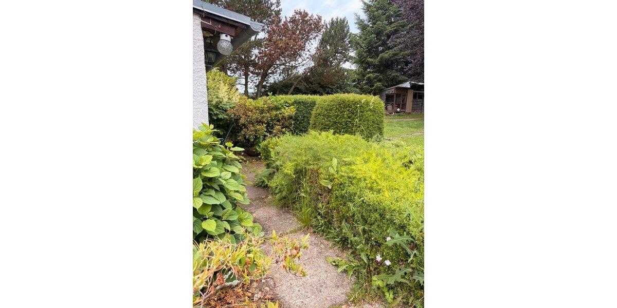 Einfamilienhaus Falkenstein Pansfelde - 80.000&euro; | Angebot:26918500