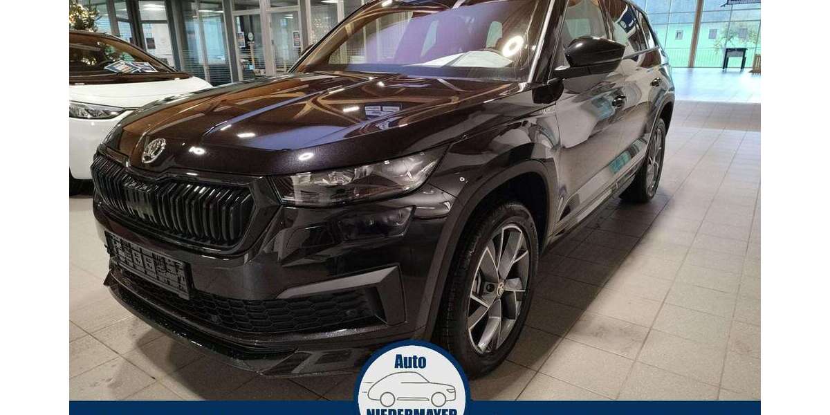 Skoda Kodiaq 111.900 km 28.995 &euro; Neukirchen 94362