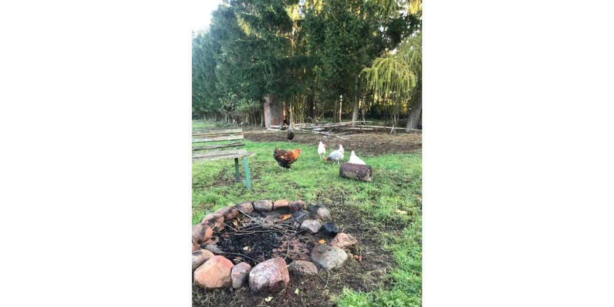 Etagenwohnung Templin - 1 Zimmer, 21 m&sup2;, 364&euro; | Angebot:25908038