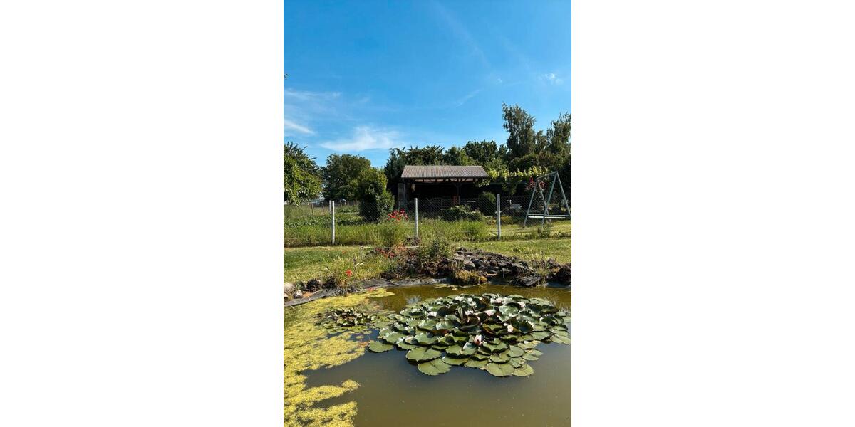 Mehrfamilienhaus, Wohnhaus Bad Langensalza - 6 Zimmer, 165 m&sup2;, 360.000&euro; | Angebot:26621836