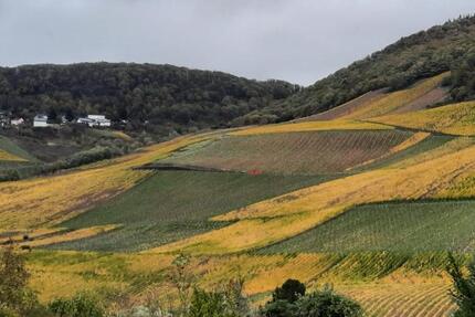 Eigentumswohnung 3 zimmer