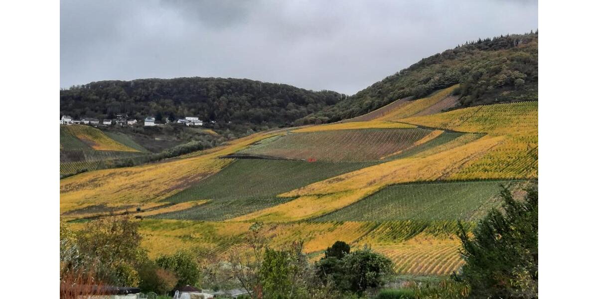 Eigentumswohnung 3 zimmer