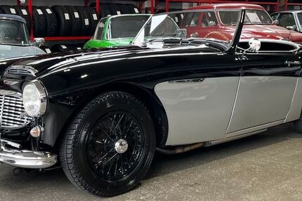 Austin Healey Andere