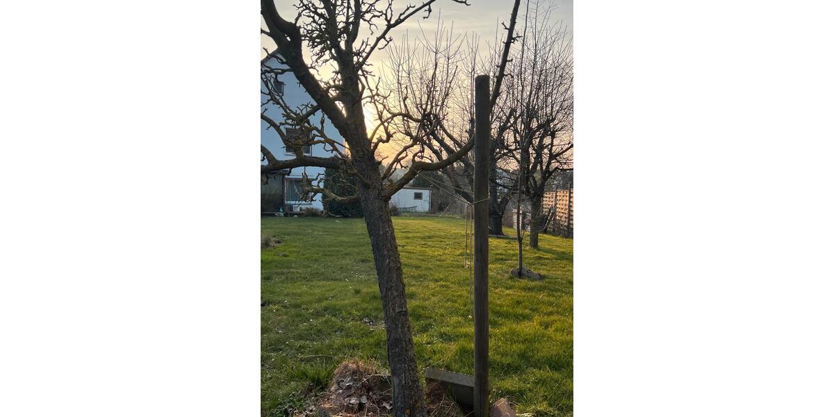 Einfamilienhaus Königslutter am Elm - 8.5 Zimmer, 240 m&sup2;, 210.000&euro; | Angebot:26760098