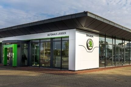 Skoda Enyaq 99.246 km 32.990 &euro; Lübben 15907