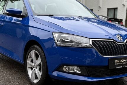 Skoda Fabia 63.500 km 9.990 € Waldkraiburg 84478
