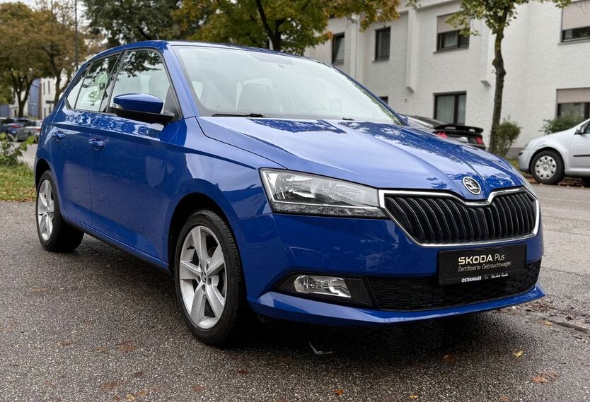 Skoda Fabia 63.500 km 9.990 € Waldkraiburg 84478