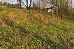 Grundstück Flossenbürg Altenhammer - 54.000&euro; | Angebot:25727289