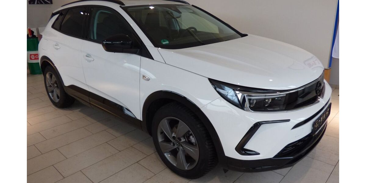 Opel Grandland (X) 19.800 km 22.890 &euro; Ahorntal 95491