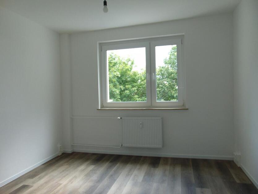 Große 3-Raum-Wohnung in Stralsund zimmer