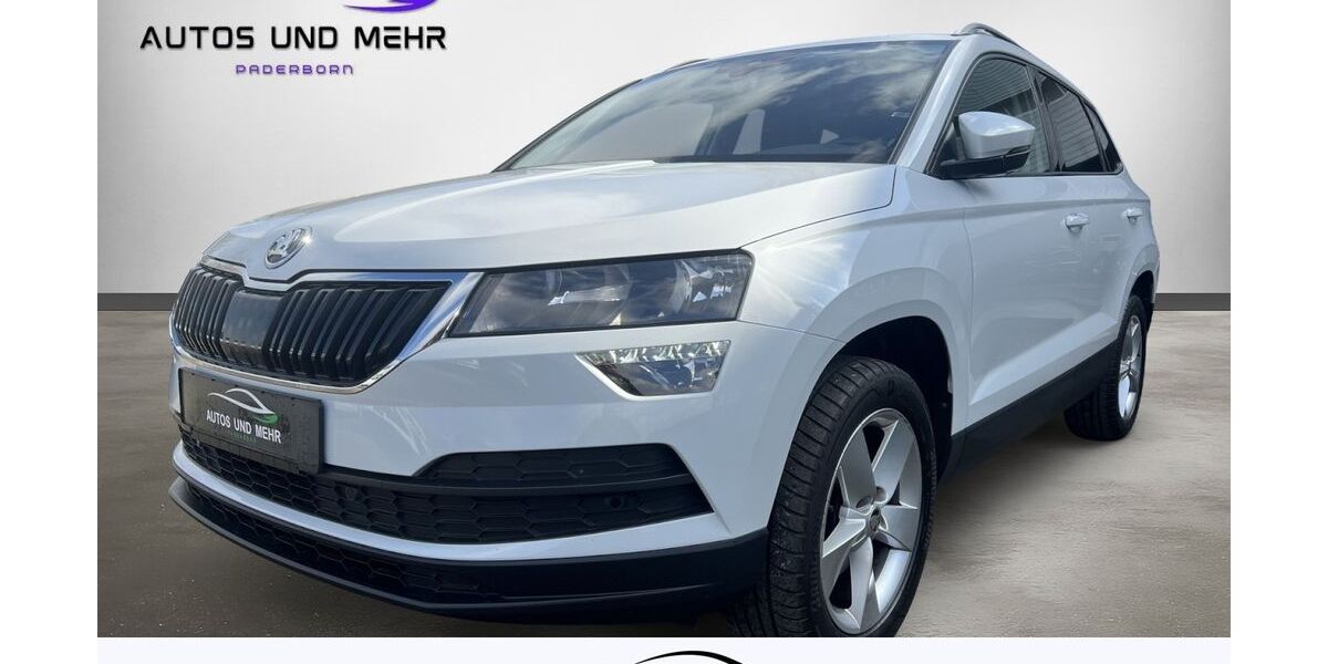 Skoda Karoq 99.000 km 21.990 &euro; Paderborn 33100