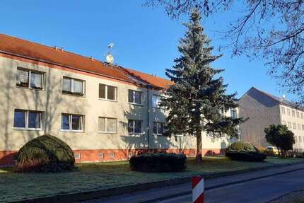 Wohnung Gerdshagen - 3 Zimmer, 58 m&sup2;, 400&euro; | Angebot:26308130