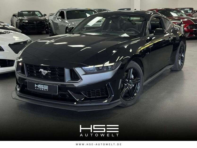 Mustang