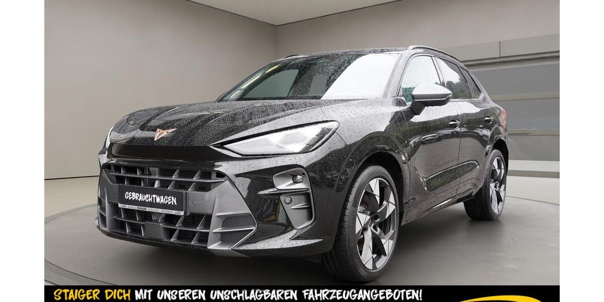 Cupra Terramar 14.901 km 38.850 &euro; Haslach im Kinzigtal 77716