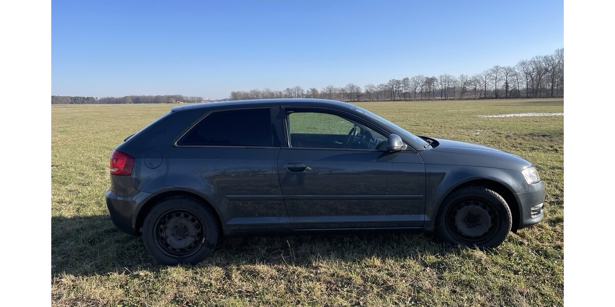 Audi A3 223.500 km 3.999 &euro; Oßling 01920