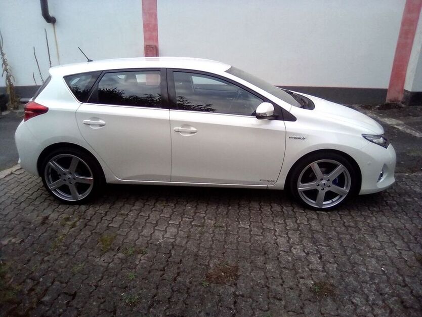 Auris