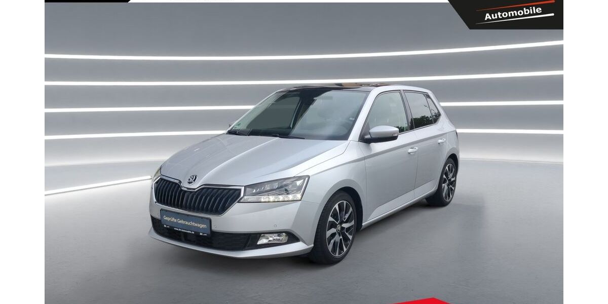 Skoda Fabia 102.500 km 12.490 € Bonn 53119