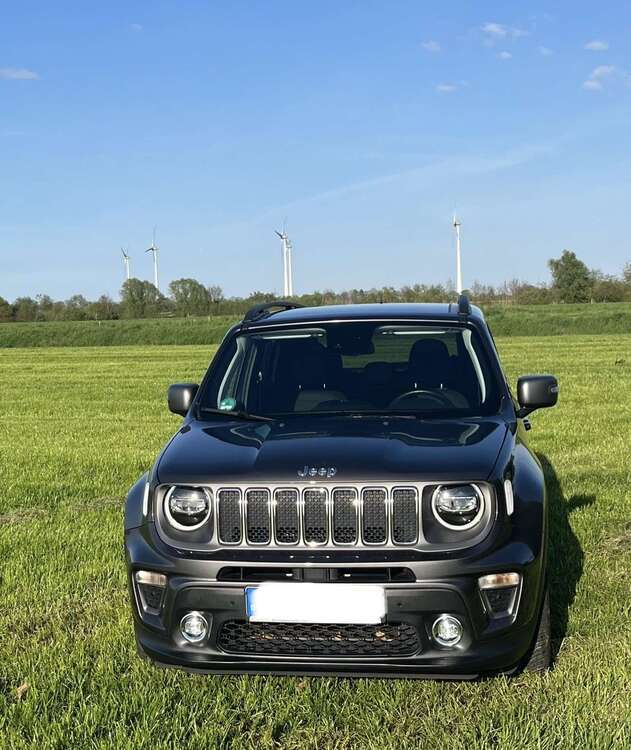 Renegade