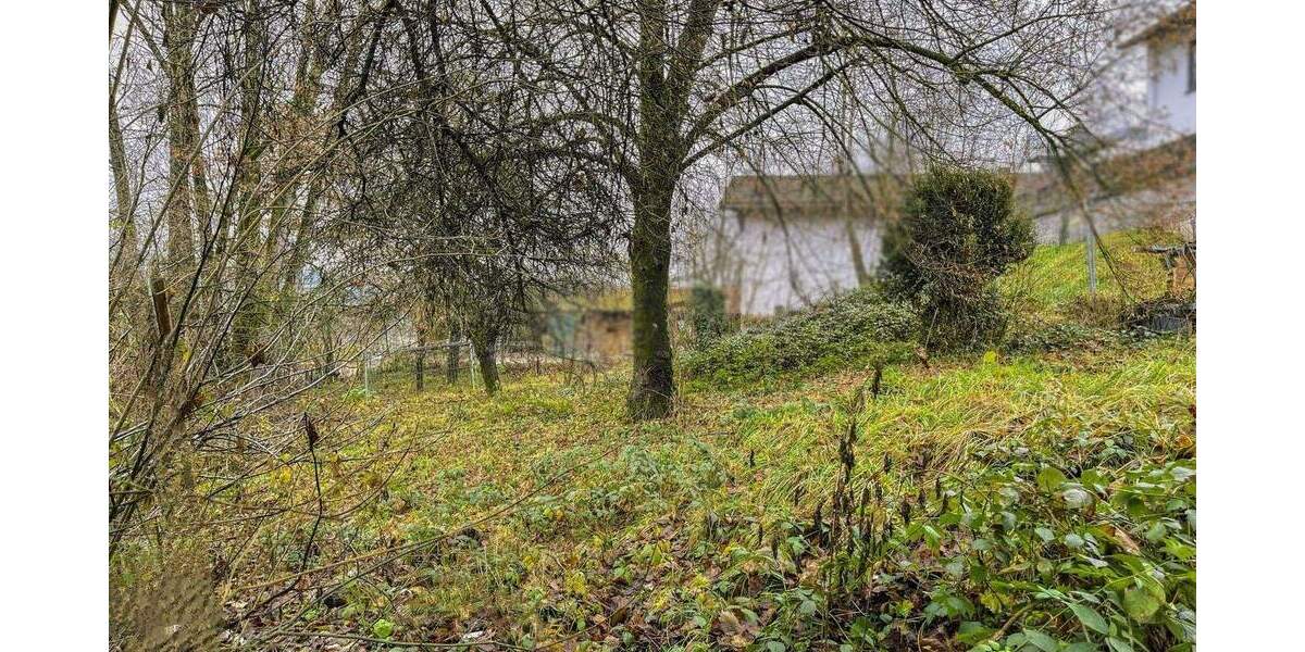 Schönes Grundstück mit viel Potenzial in vorteilhafter Lage und Panoramablick zimmer