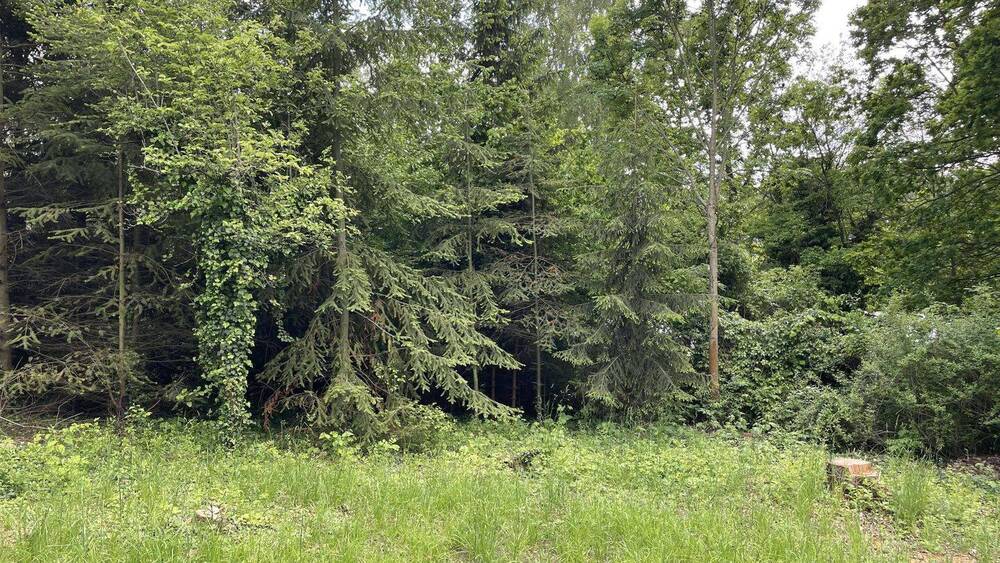 Grundstück Bannewitz Hänichen - 250.000&euro; | Angebot:20713582