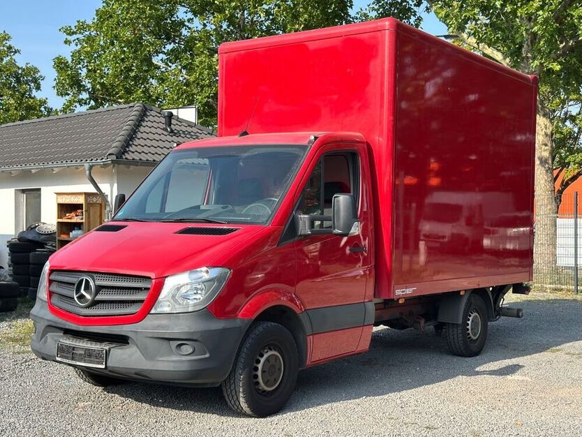 Sprinter