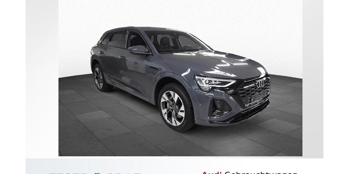 Audi Q8 e-tron 36.490 km 49.980 &euro; Schwabach 91126