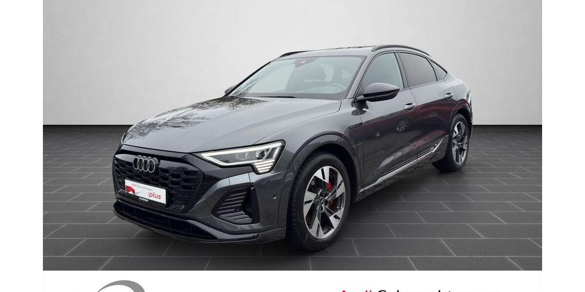 Audi Q8 e-tron 21.639 km 56.900 &euro; Ludwigshafen 67063
