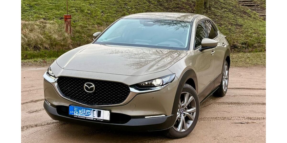 Mazda CX-30 3.800 km 29.900 &euro; Boizenburg 19258
