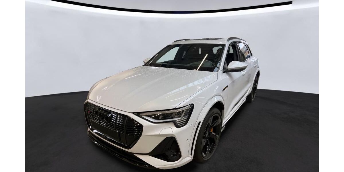 Audi e-tron 77.349 km 41.334 &euro; Hagen 58091