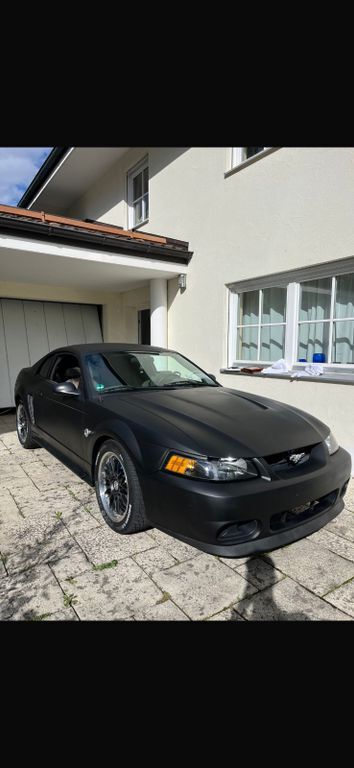 Mustang