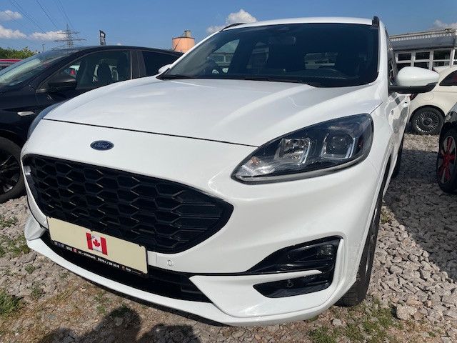 Kuga