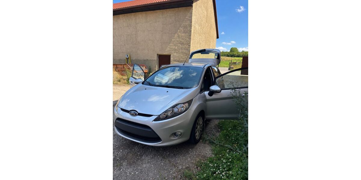 Ford Fiesta 126.293 km 3.300 &euro; Elsteraue 06729