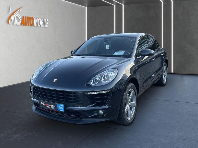 Macan