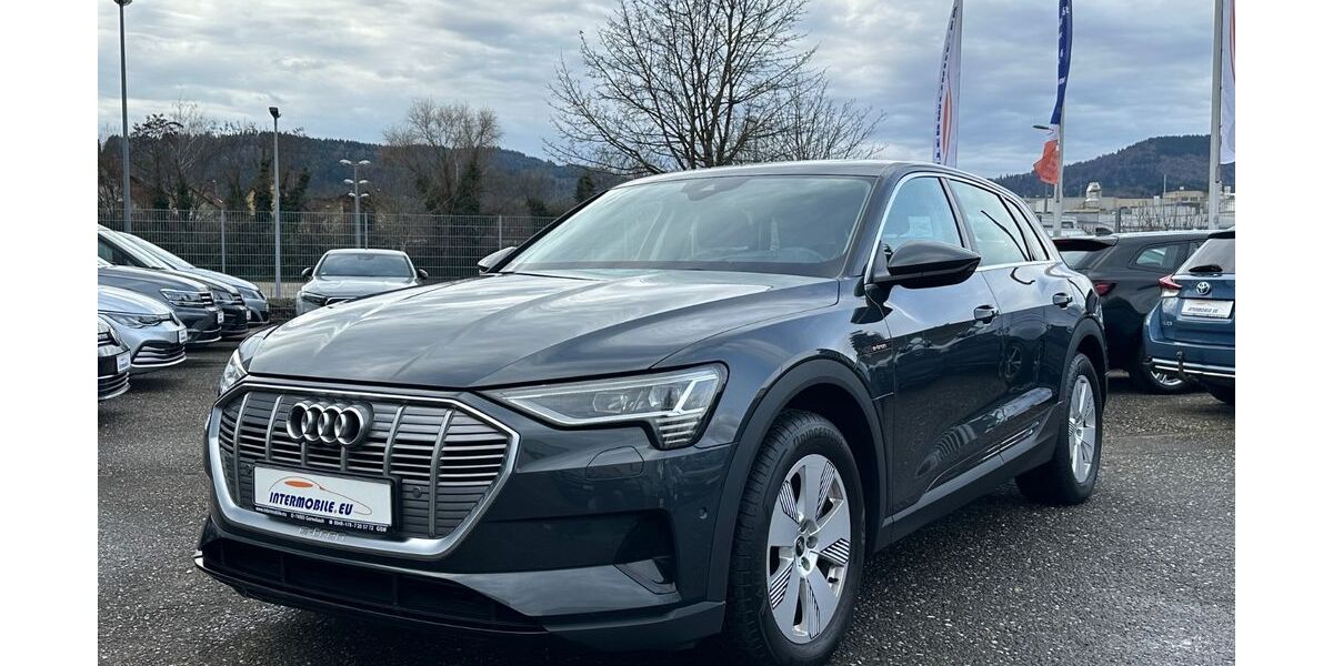 Audi e-tron 161.776 km 23.800 &euro; Gernsbach 76593