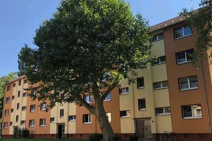 Wohnung zum Mieten in Herne 409 € 49.76 m² 2 zimmer