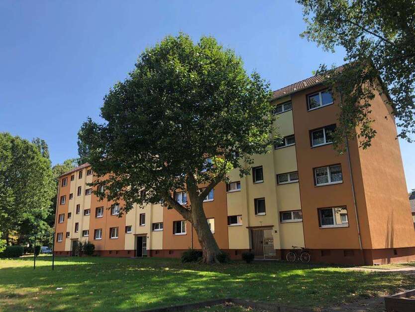 Wohnung zum Mieten in Herne 409 € 49.76 m² 2 zimmer