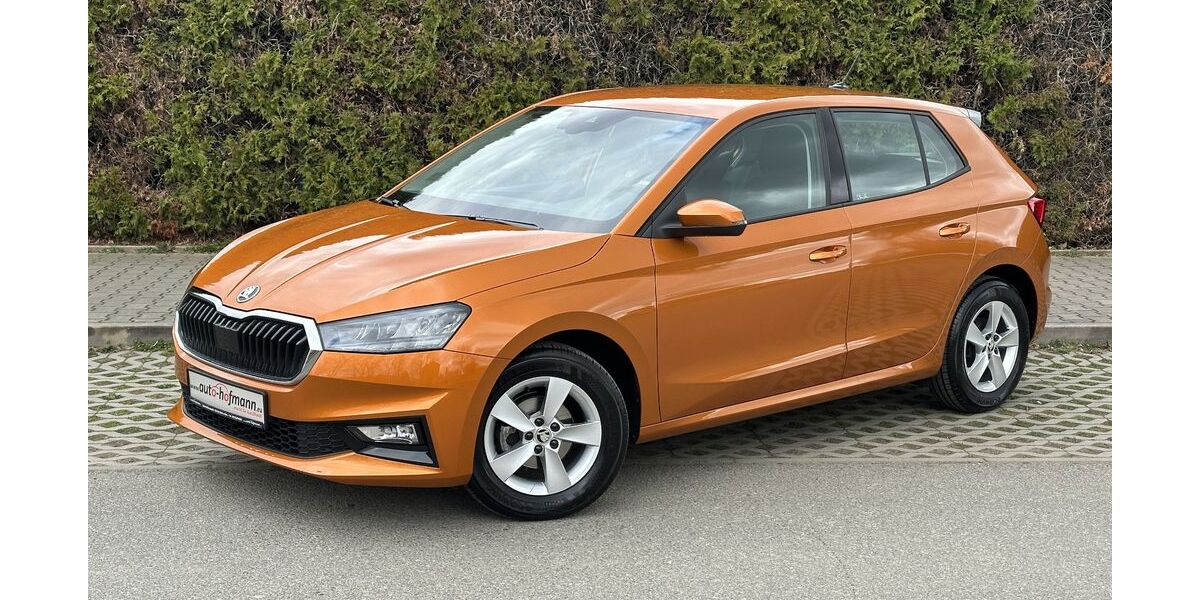 Skoda Fabia 15.069 km 16.440 &euro; Wallenfels 96346