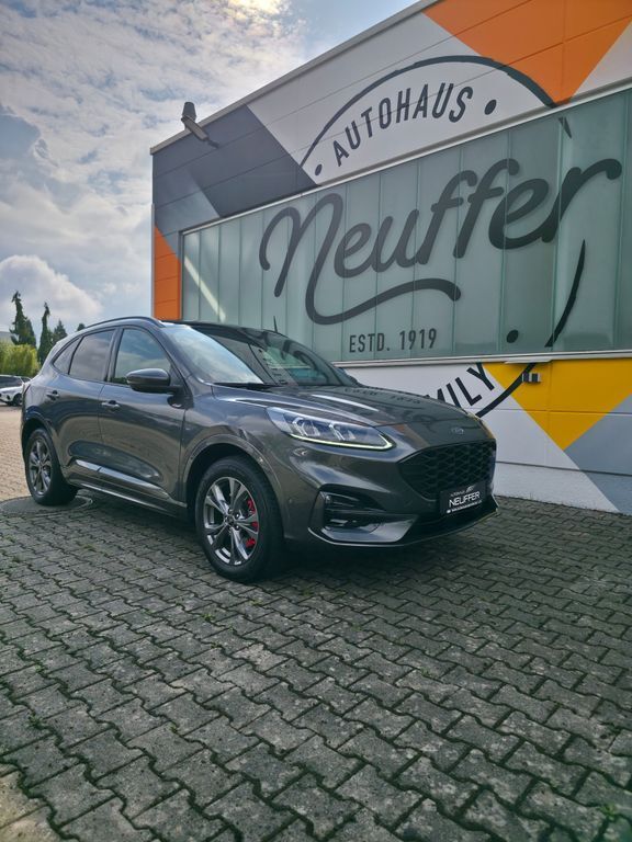 Kuga