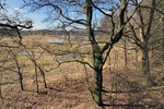 Baugrundstück in kleiner Siedlung - umgeben von Wald und Wiesen - nahe der Spree - Grundstück Grünheide (Mark) | Angebot:25943955