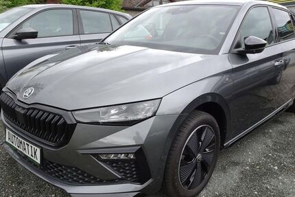 Skoda Scala 17.700 km 26.490 &euro; Wendelstein 90530