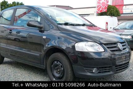 VW Fox