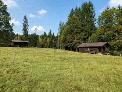 NATURREFUGIUM MIT TEICHANLAGEN UND 2 GEBÄUDEN - Grundstück Kulmain | Angebot:27109387