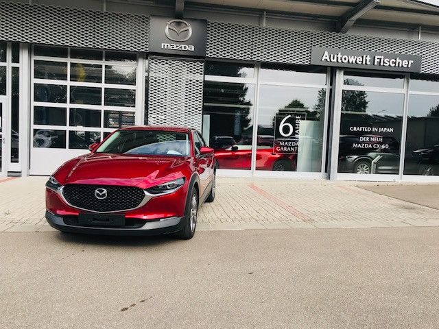 CX-30