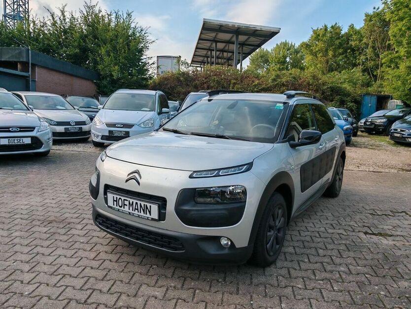 C4 Cactus