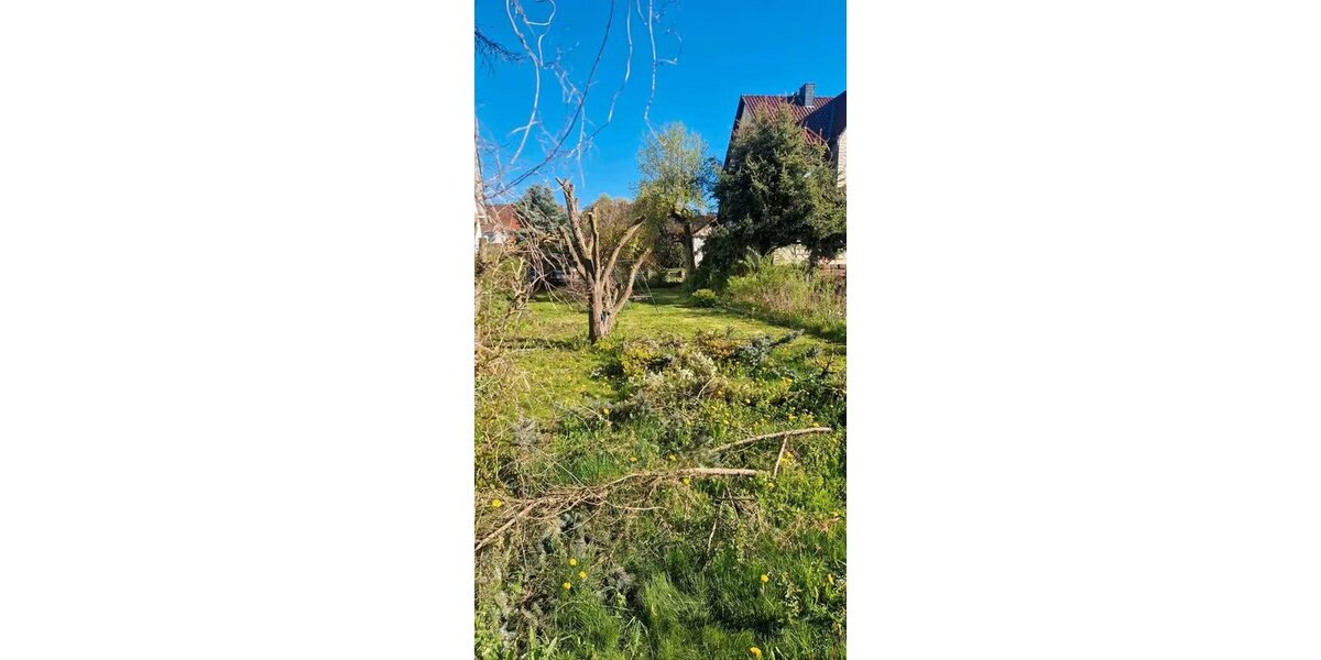Bleicherode, EFH + Nebengeb. - Einfamilienhaus Bleicherode Bleicherode Ost | Angebot:26665098