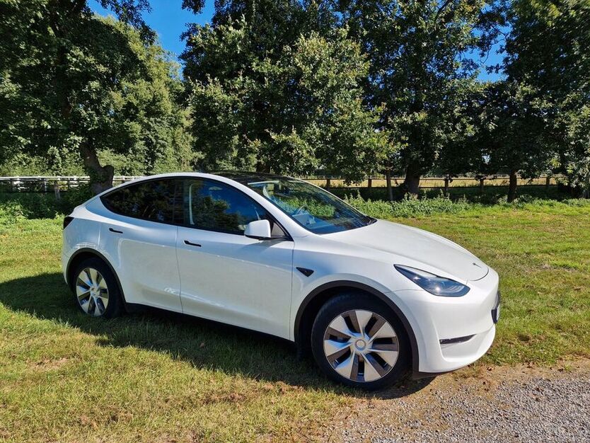 Model Y
