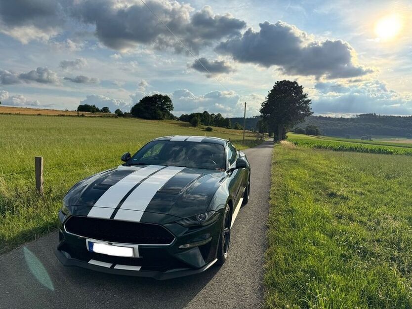 Mustang