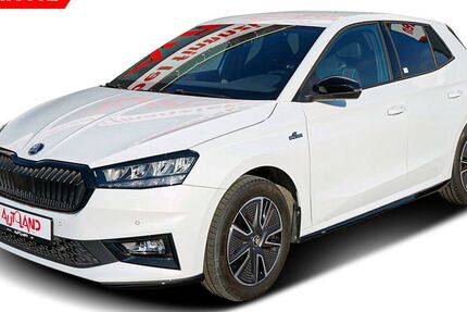 Skoda Fabia 25.437 km 18.950 &euro; Wietmarschen 49835