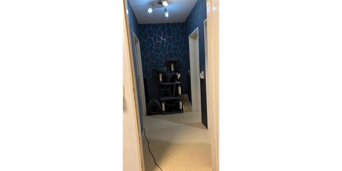 Etagenwohnung Ludwigshafen am Rhein Ludwigshafen-Hemshof - 3 Zimmer, 85 m&sup2;, 200.000&euro; | Angebot:27413678