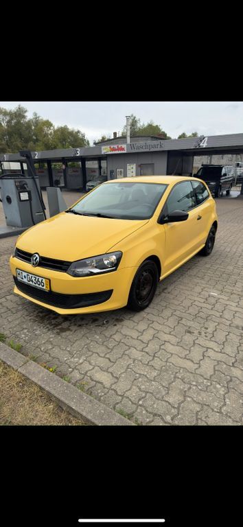 Polo